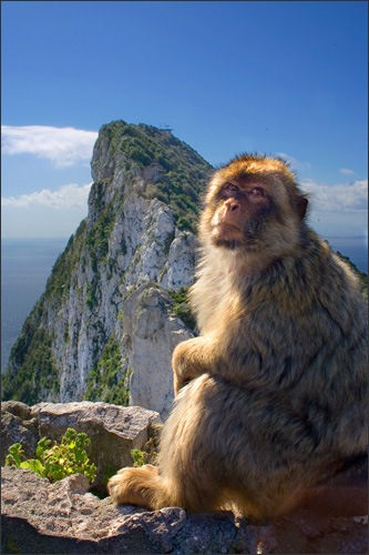 Matkailukuvaus Gibraltarilla, mukana magotti